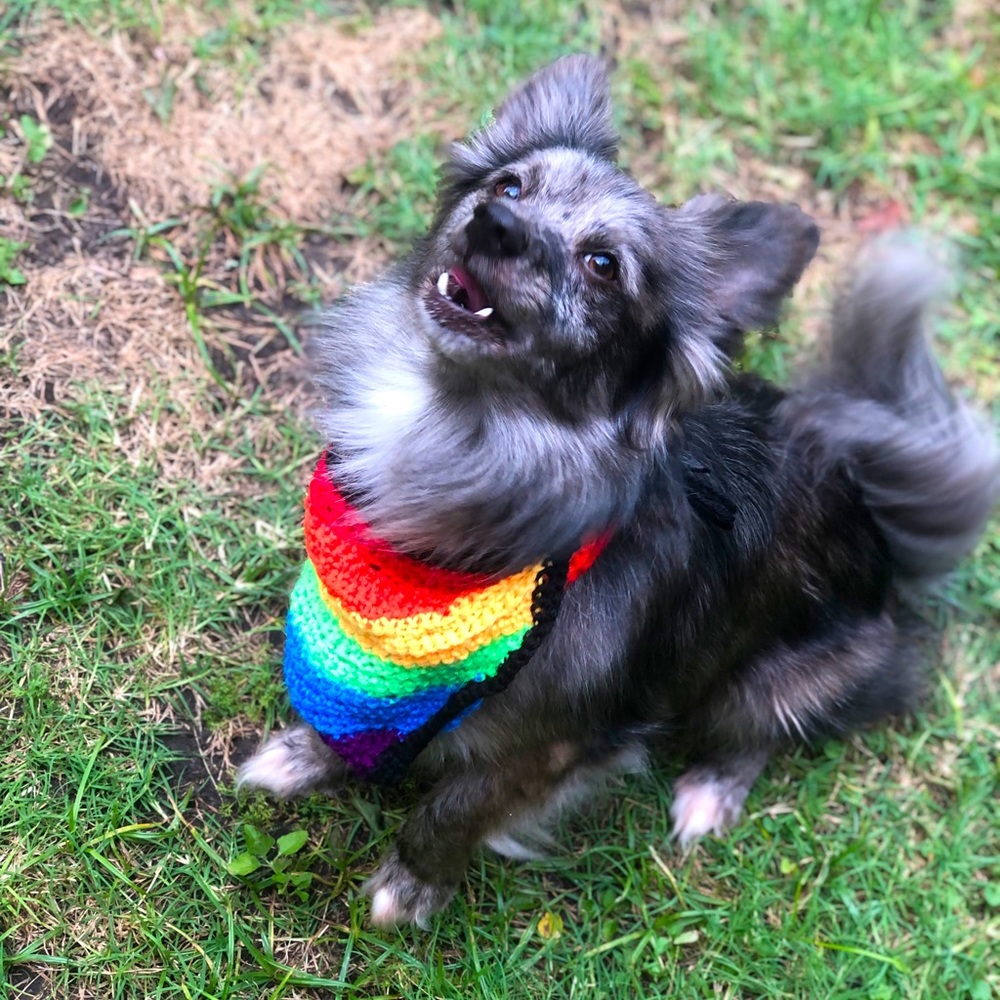 Crocheted Rainbow Bandana For Pets
